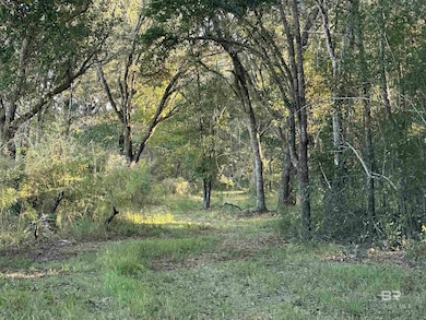 0 Benton Rd unit 387993, Foley, AL 36535 - photo 7