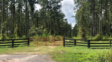 LOT 2 Griffin Rd - Heartwood Farms, Callahan, FL 32011 - photo 4