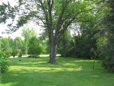 Yard/Garden.