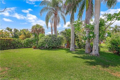 Spacious Backyard
