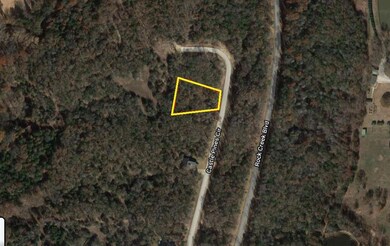 Lot 12B Castle Pines Cir, Gordonville, TX 76245 - photo 4