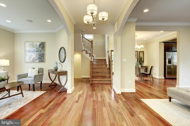 419 Lincoln Ave, Takoma Park, MD 20912 - photo 3