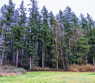 2813 Birch Bay Lynden Rd, Custer, WA 98240 - photo 7