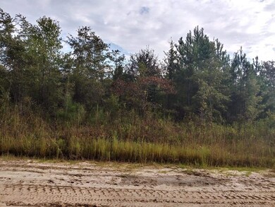 300 Nancy Ln, Ailey, GA 30401 - photo 2