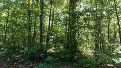 20170707_130719