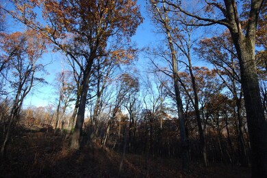 Lot 67 Mill Mountain Rd, Romney, WV 26757 - photo 7