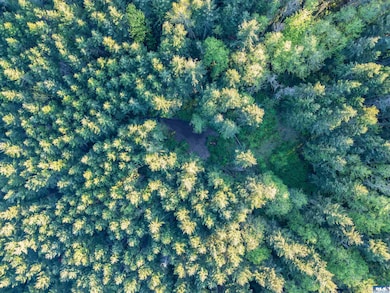 NKA Discovery Ridge Rd, Port Townsend, WA 98368 - photo 3