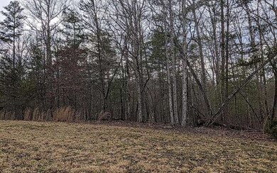 LT 10 Creekside Ln, Mineral Bluff, GA 30559 - photo 3