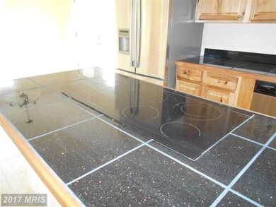 10201 Thomasson Ln, Rixeyville, VA 22737 - photo 6