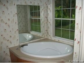 MASTER BATH - TUB VIEW