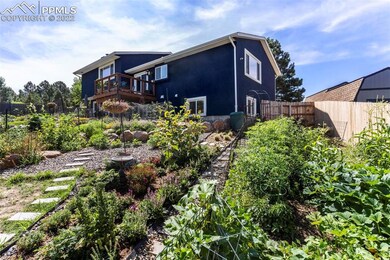 Vegetable gardens produce lots of veggies.