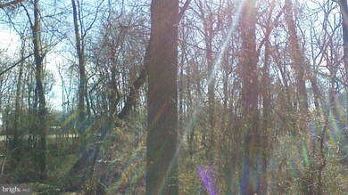 7683 S Arbory Ln, Laurel, MD 20707 - photo 6