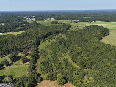 0 Highway 11 S unit 10573906, Social Circle, GA 30025 - photo 6