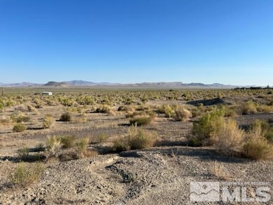 12629 Van Fleet Rd, Fallon, NV 89406 - photo 2