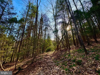 Lot 30 Wild Flower Way, Albright, WV 26519 - photo 4