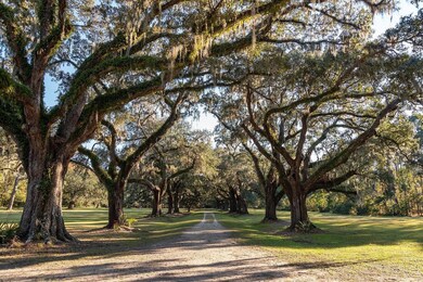 Laurel Hill Avenue of Oaks