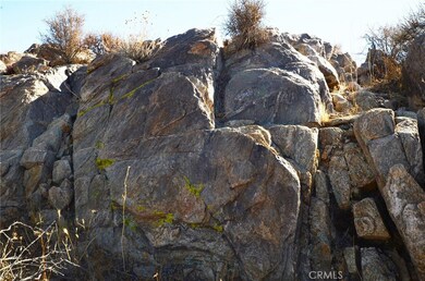 8675 Tortuga Trail, Joshua Tree, CA 92252 - photo 2