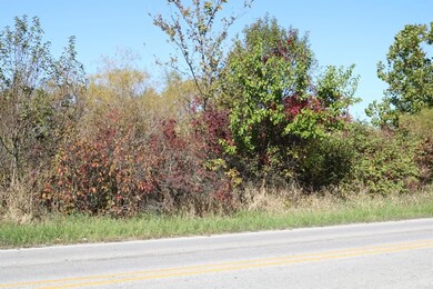 10040 Cline Ave, Winfield, IN 46307 - photo 5