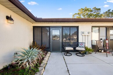 3272 Gorse Ct, Palm Harbor, FL 34684 - photo 4