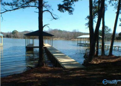 475 John Cabaniss Rd, Langston, AL 35755 - photo 7