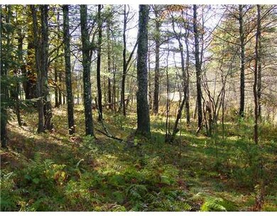 Land/Lot.