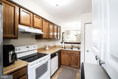 2910 Lisage Way, Silver Spring, MD 20904 - photo 4