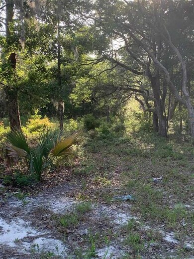 14969 E Royal Oak Dr, Perry, FL 32348 - photo 4