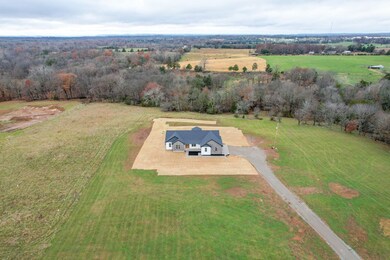 7513 Highway D, Bonne Terre, MO 63628 - photo 6