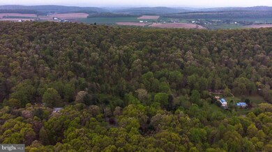 0 Clouser Hollow Rd, New Bloomfield, PA 17068 - photo 6