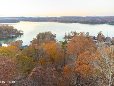 Lot 84 Indian Shadows Dr, Ten Mile, TN 37880 - photo 7