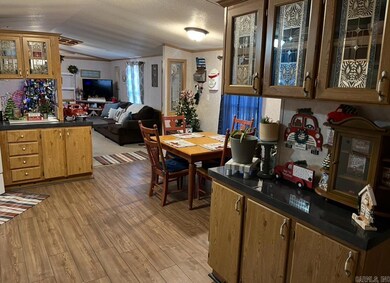 233 Redress Ln, Bee Branch, AR 72013 - photo 4