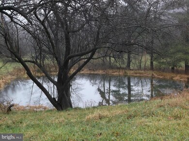 8216 Grassy Lick Rd, Romney, WV 26757 - photo 2