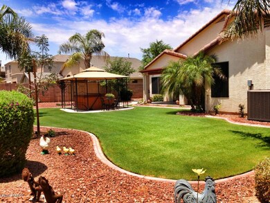 8 Backyard