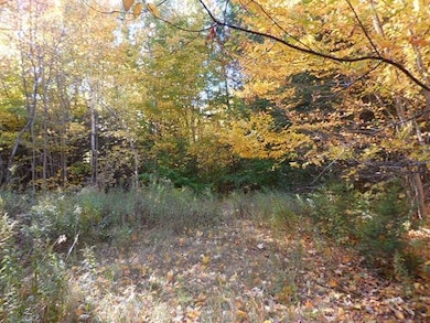 124 Fern Rd, Dover-Foxcroft, ME 04426 - photo 3