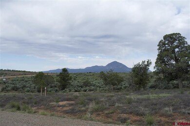 0 Road K 3, Cortez, CO 81321 - photo 7