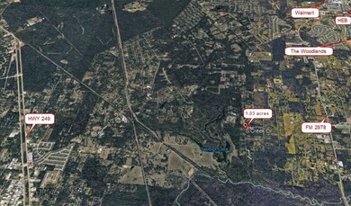 0 S Creek unit 45658700, Magnolia, TX 77354 - photo 4