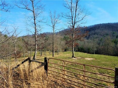 Also Upper entrance of cleared land