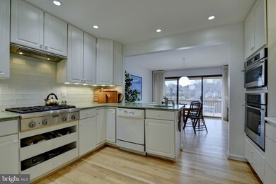 11074 Thrush Ridge Rd, Reston, VA 20191 - photo 6