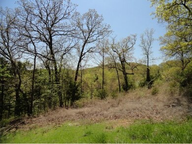 115 Whippoorwill Hollow, Kimberling City, MO 65686 - photo 7