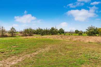 Additional back yard view