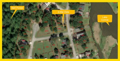 2 Alta Vista, Huntsville, TX 77340 - photo 2