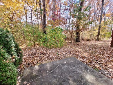 View from patio
