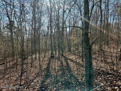 Image00001