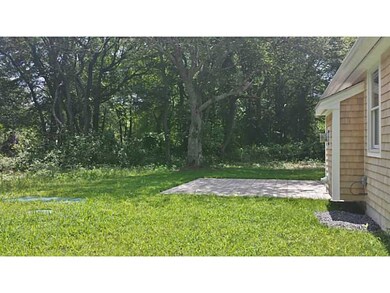 Yard/Garden.