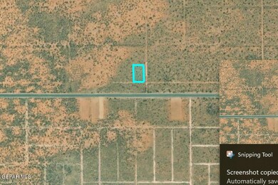 Screenshot 2025-03-10 125603