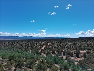 TBD E Mountain Springs Rd, Hackberry, AZ 86411 - photo 6