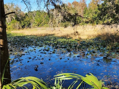 13022 E Shawnee Trail, Inverness, FL 34450 - photo 3