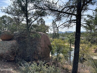 1703 E Redbud Ct unit 878, Payson, AZ 85541 - photo 2