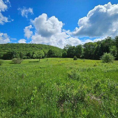 359 Gazdag Rd, Genesee, PA 16923 - photo 5