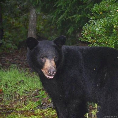 720 Salisbury Rd, Hendersonville, NC 28792 - photo 4